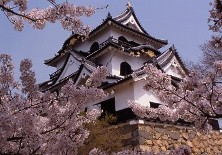 Hikone Castle
